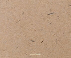 Vector Grunge Paper Texture