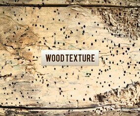 Free Vector Wood Texture