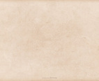 Soft Grunge Vector Background