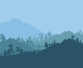 Forest Background Vector