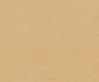 Brown Paper Texture Vector