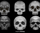 Vector Set Of 6 Abstract Skulls Detailed Icons