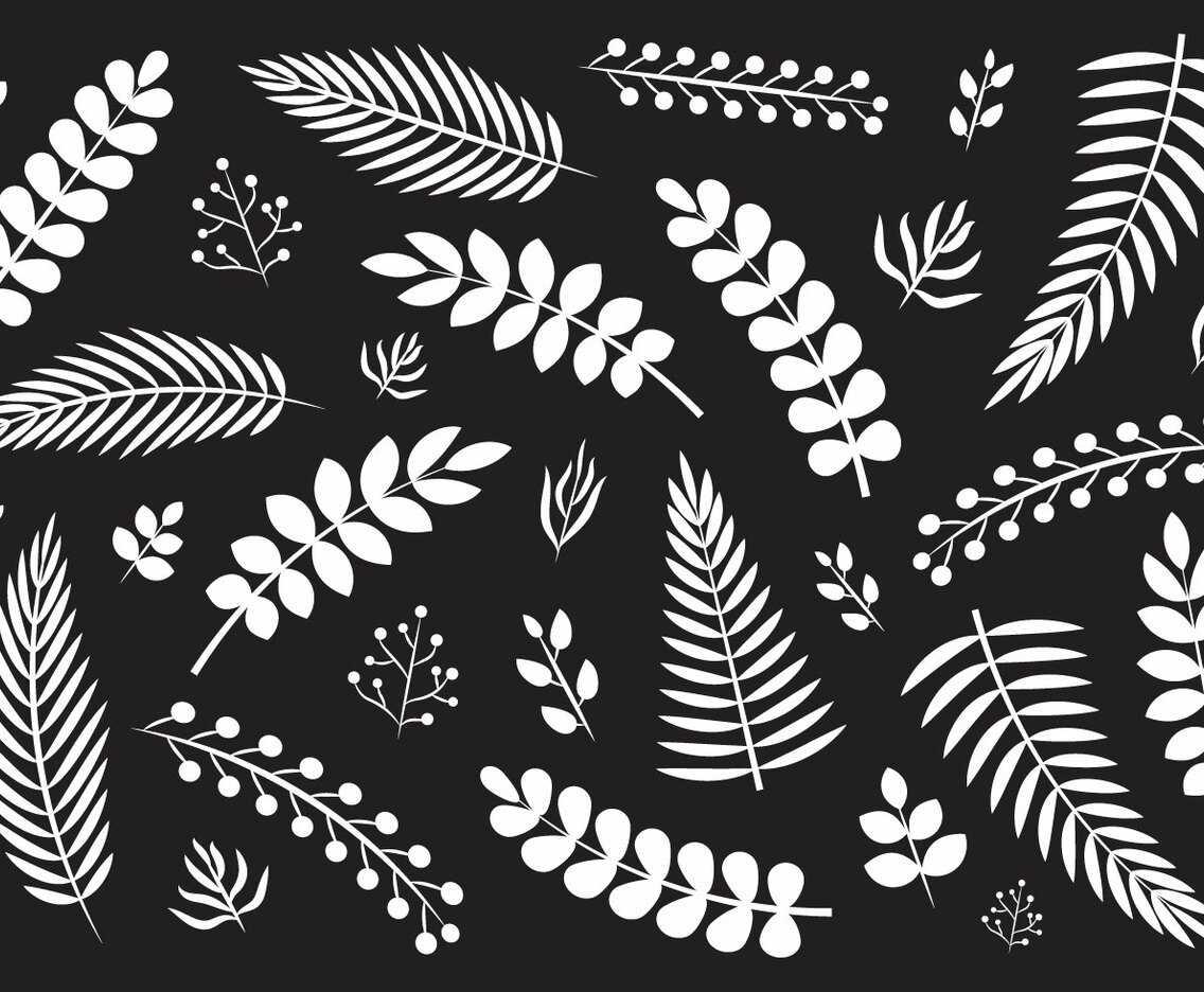 Liana Silhouette Vectors