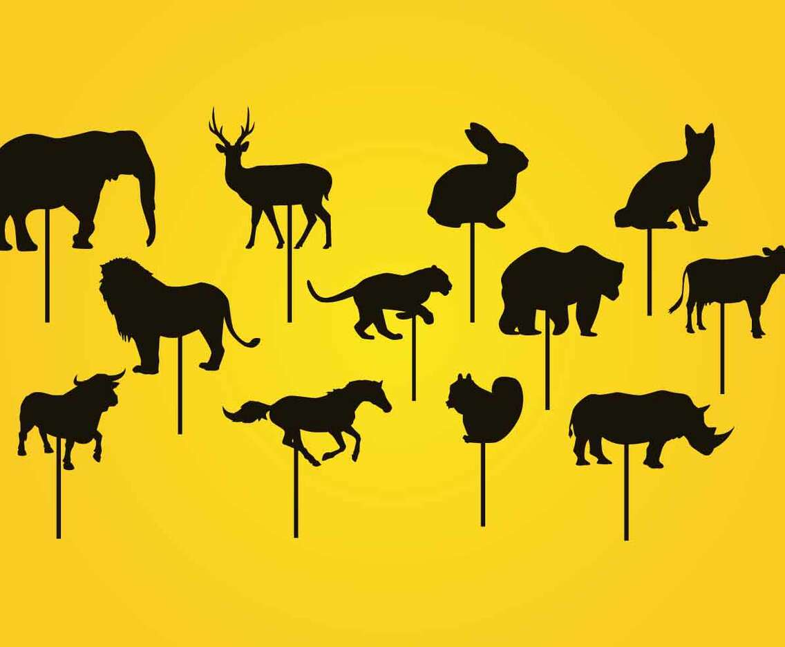 Animal Shadow Puppet