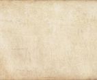 Vector Grunge Background