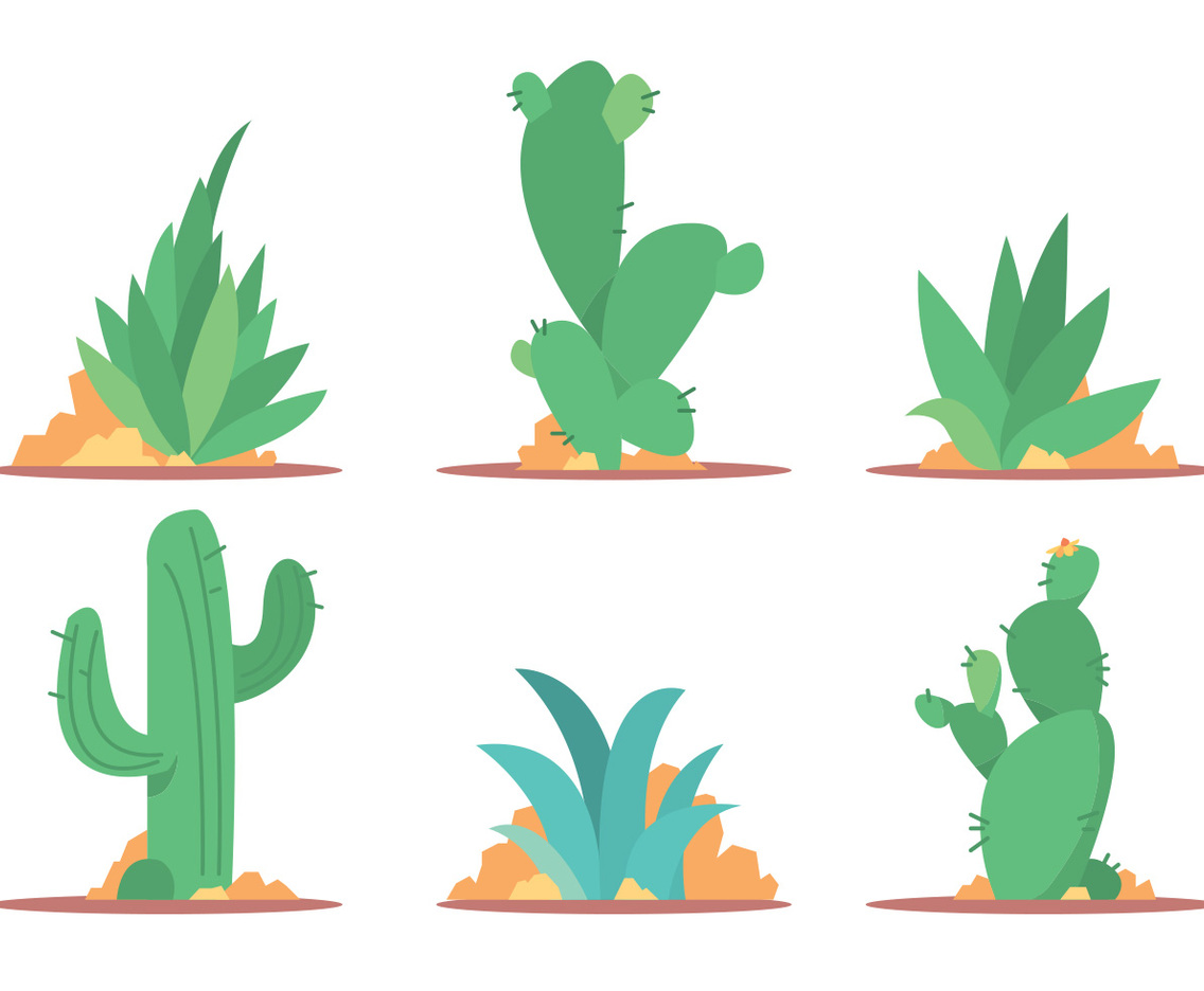 Cactus and Maguey Vector Set