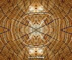Realistic Tree Rings Background