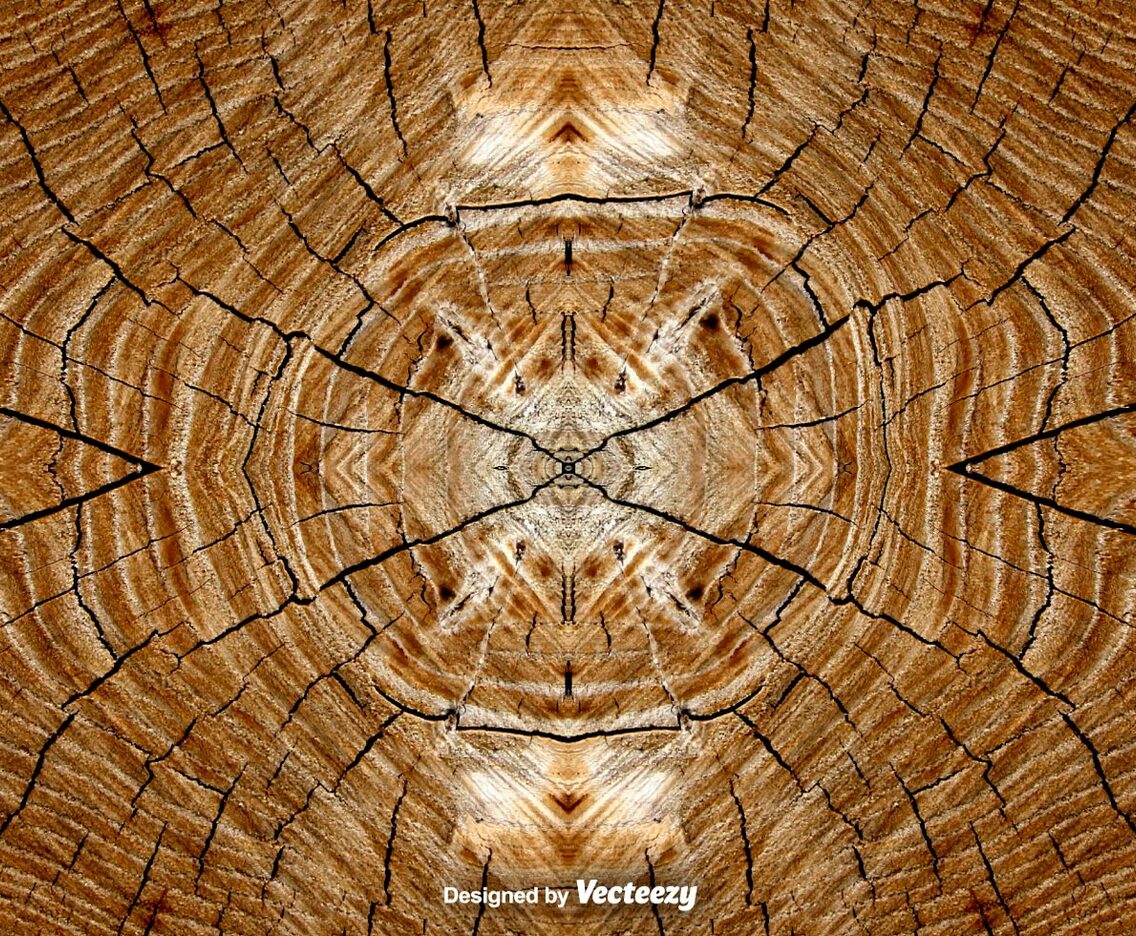 Realistic Tree Rings Background