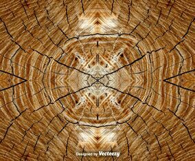 Realistic Tree Rings Background