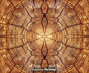 Realistic Tree Rings Close Up Background