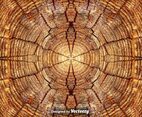 Realistic Tree Rings Close Up Background