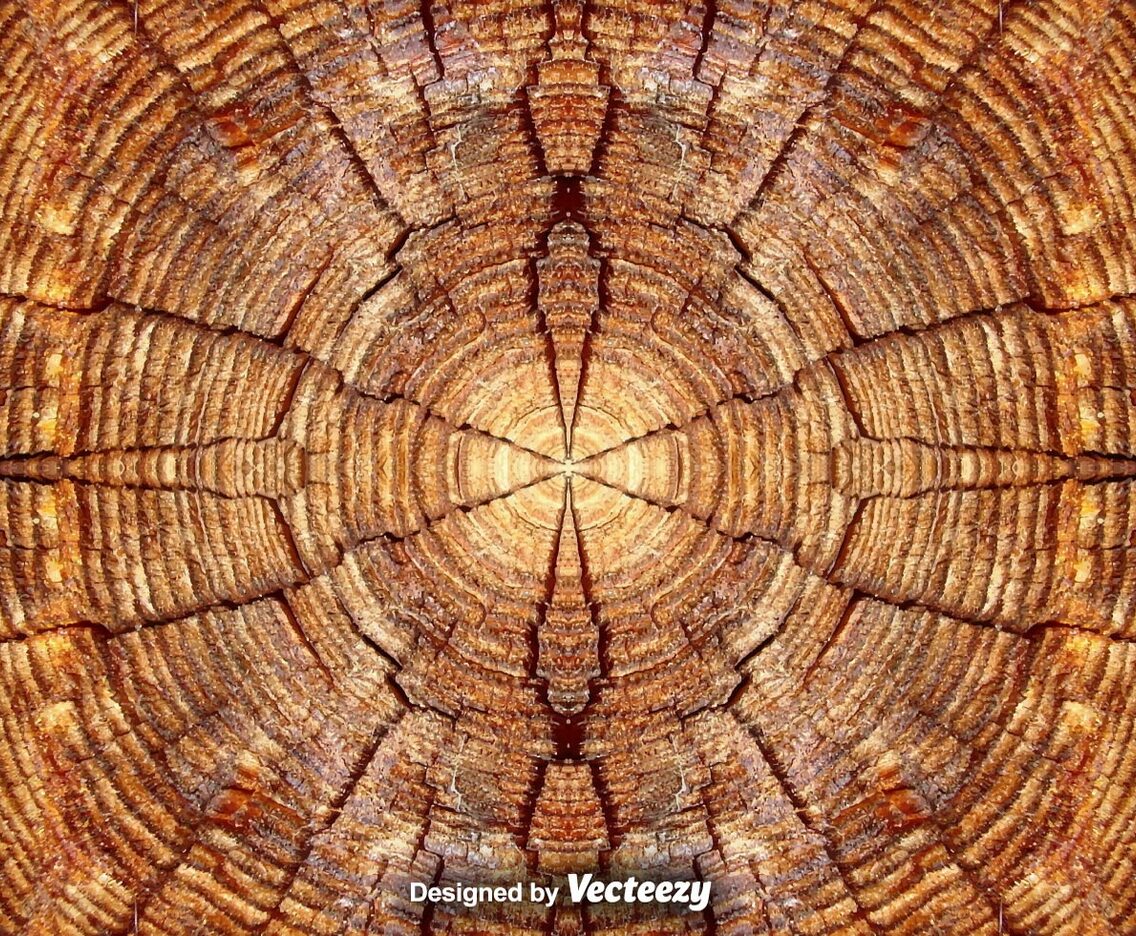 Realistic Tree Rings Close Up Background