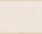 Vector Grunge Style Background