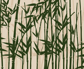 Bamboo Vector