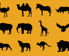 Silhouettes of Animals
