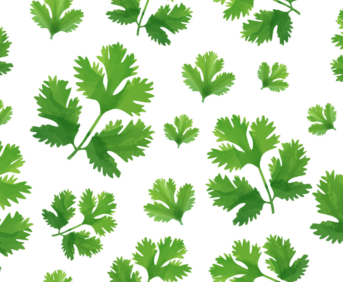 Cilantro Pattern