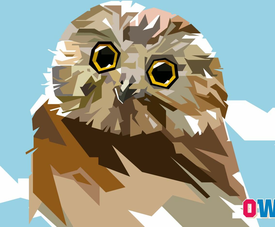 Owl vector