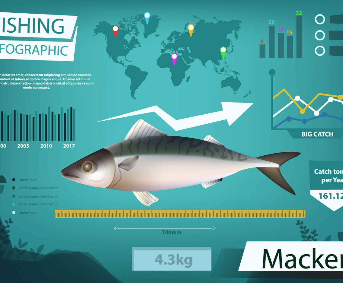 Mackerel Vector