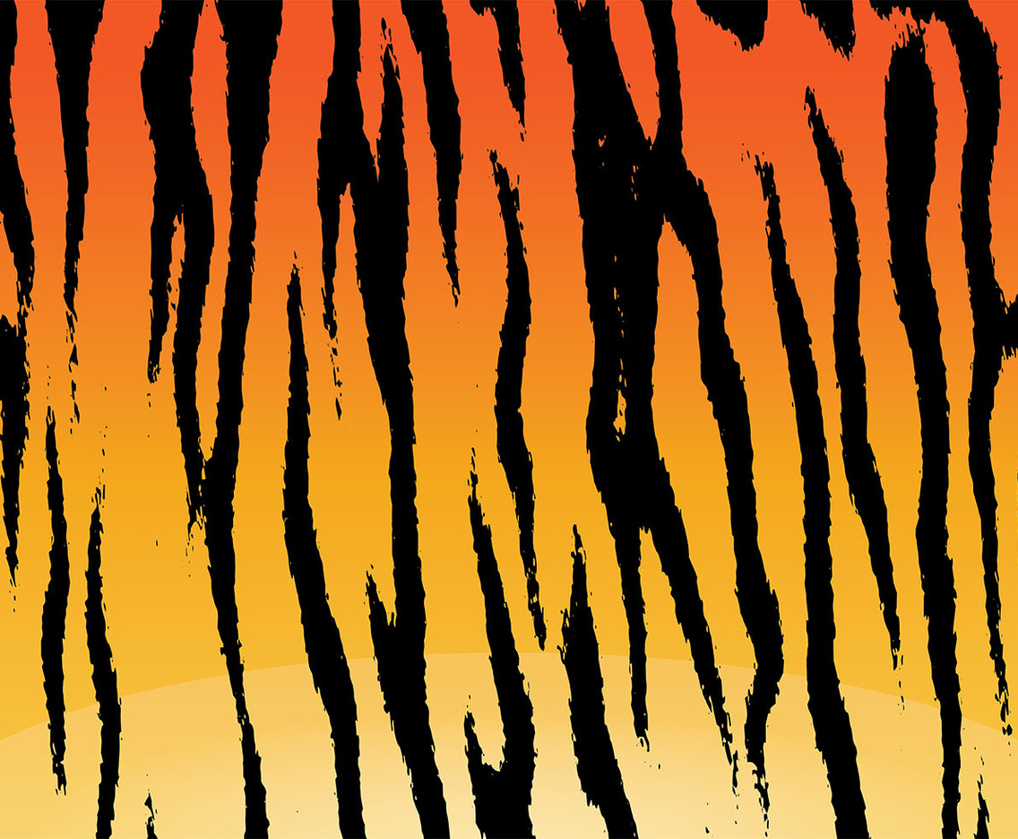 Tiger Stripe Background Vector