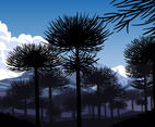 Silhouette Of Araucaria