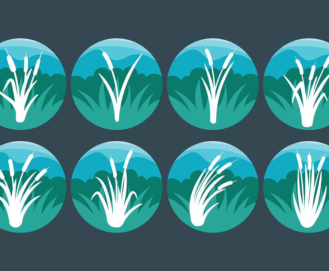 Free Cattails Icon Vector