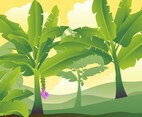 Banana Tree Leaves illustration