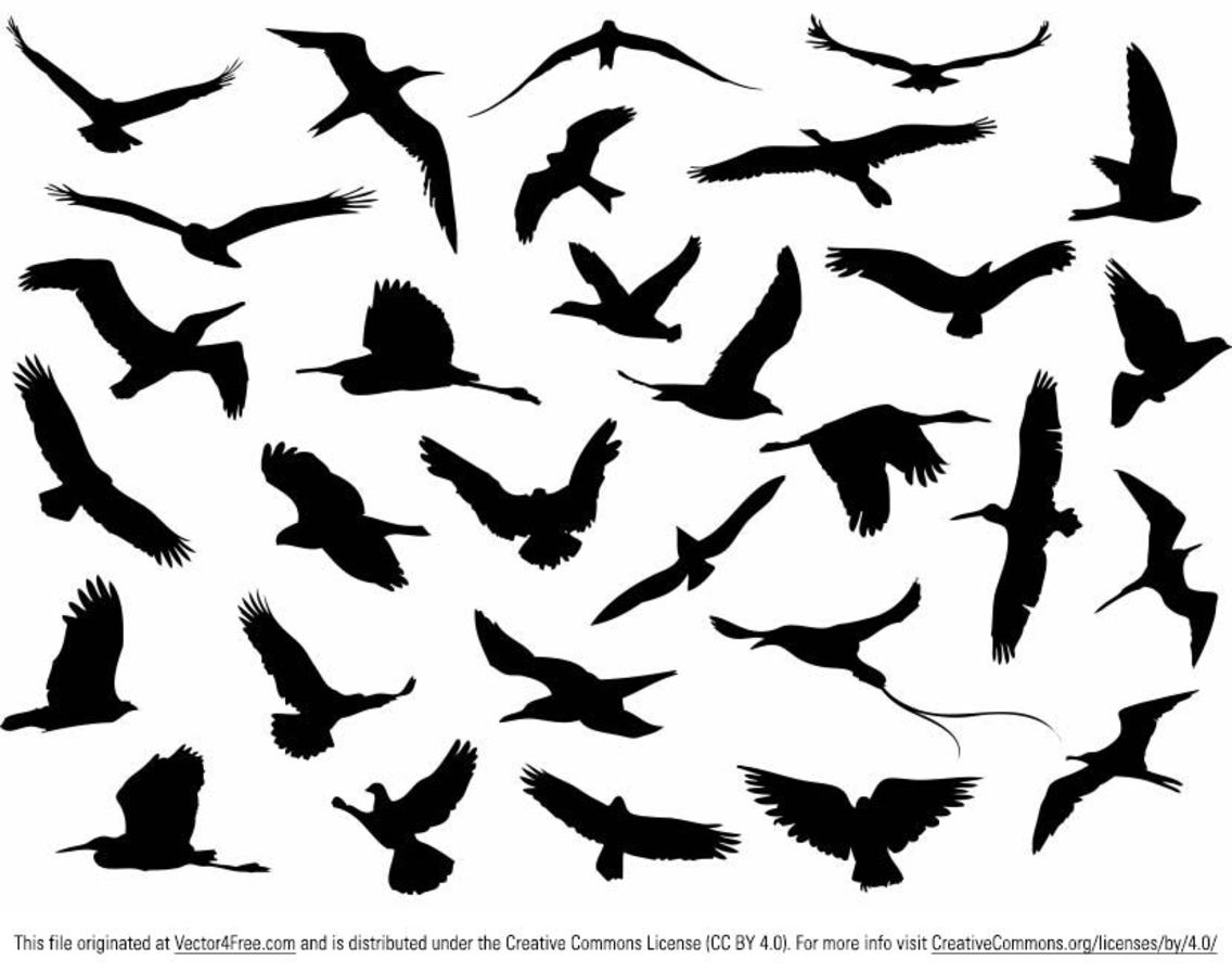 Flying Doves Vector