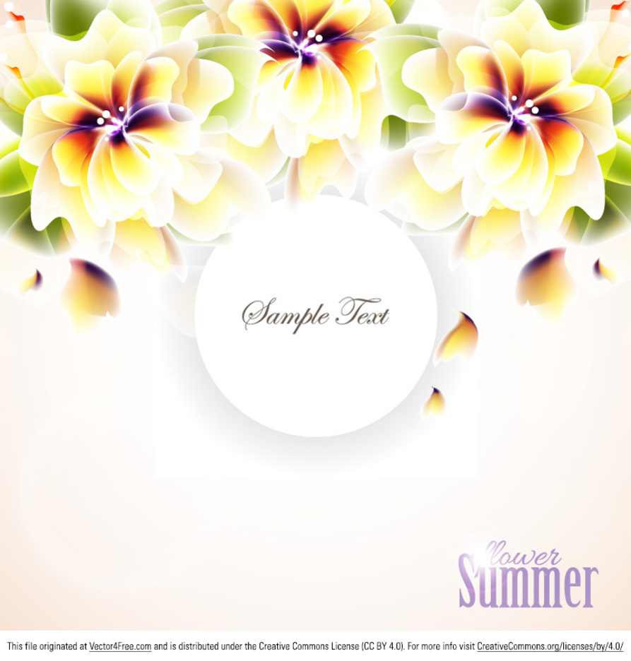 Summer Hawaiian Flower Vectors