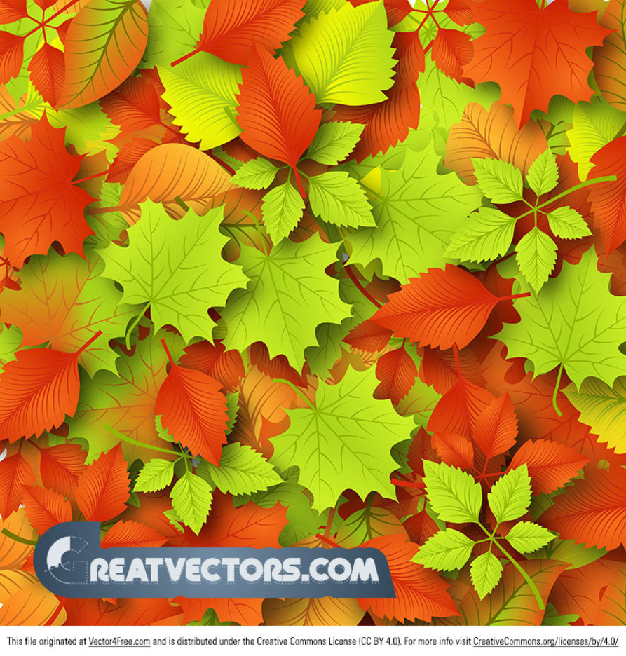 Autumn Leaves Vector Background