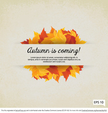 Fall is Coming Leaves Vector Frame