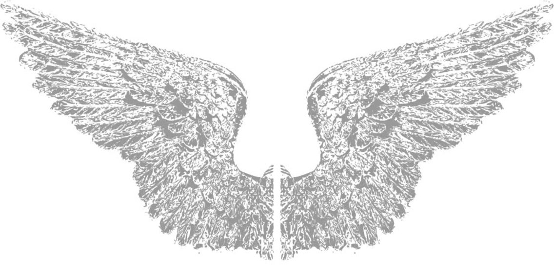 Wings Vector | FreeVectors