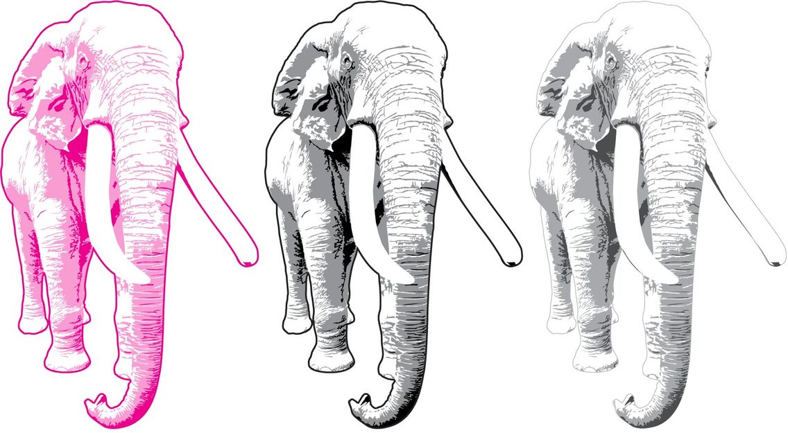 Elephant Vector