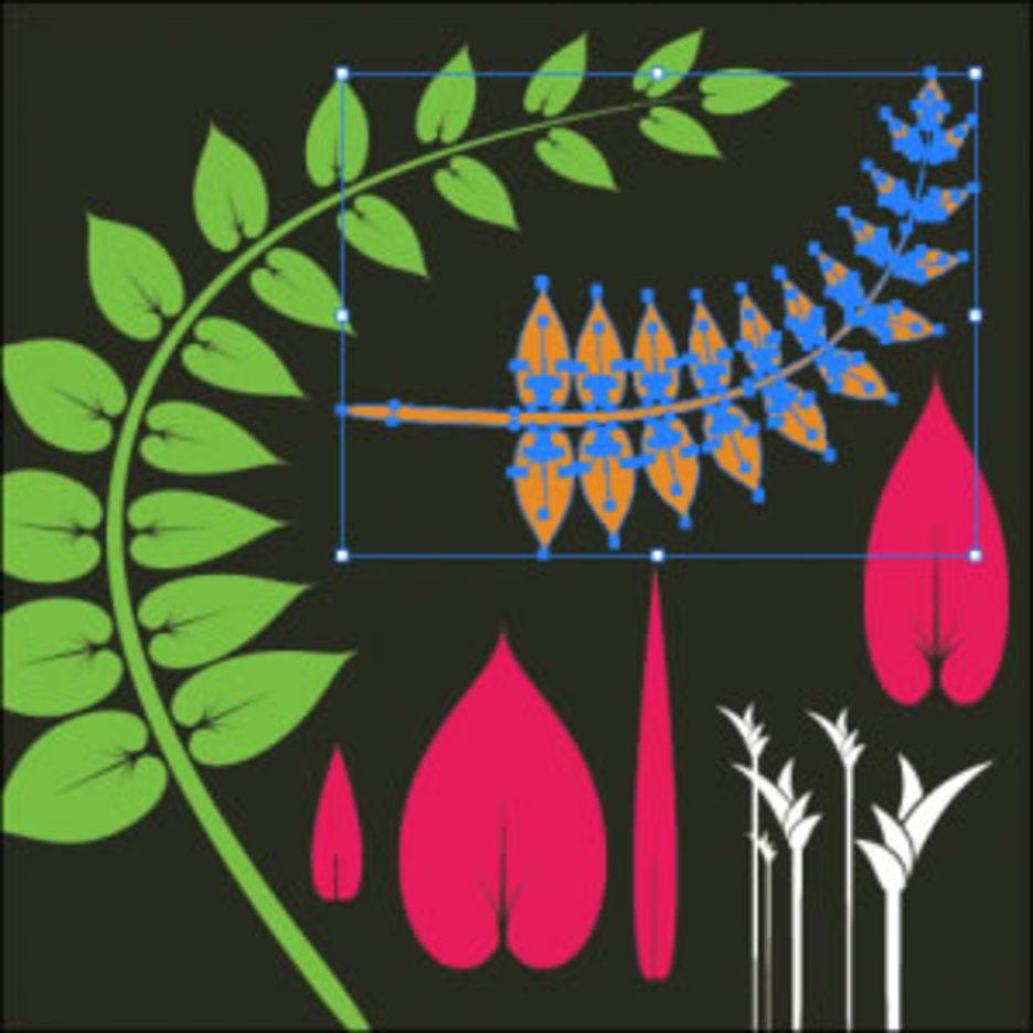 Foliage Vector