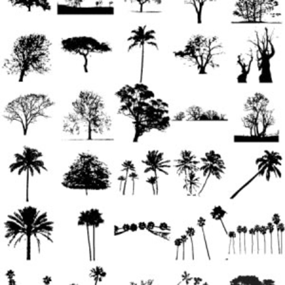 30 Free Tree Silhouette