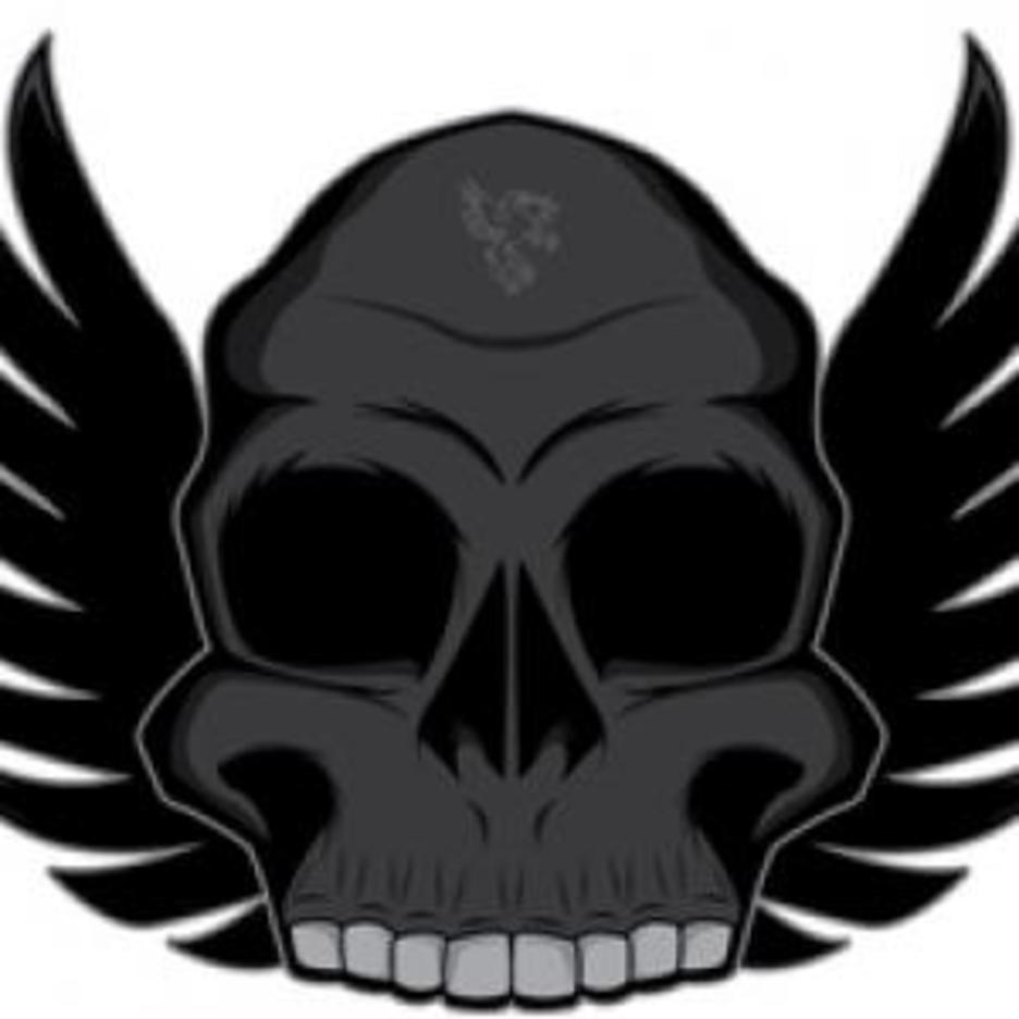 Free Series Winged Skull Vector