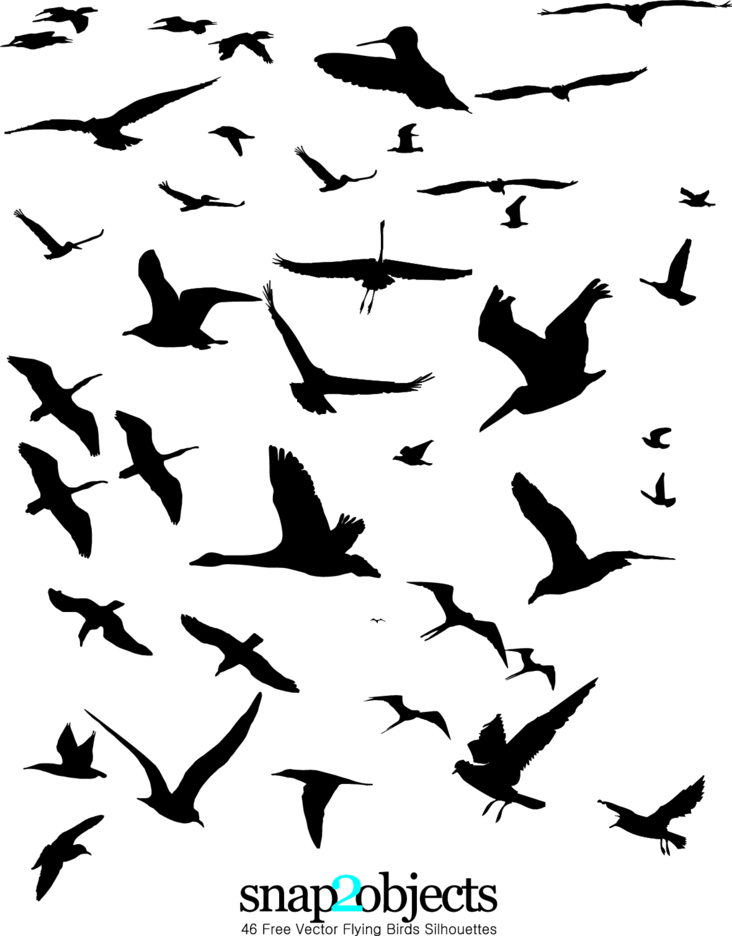 46 Free Vector Flying Birds Silhouettes