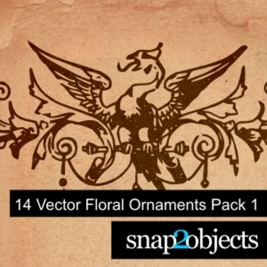 14 Vector Floral Ornaments