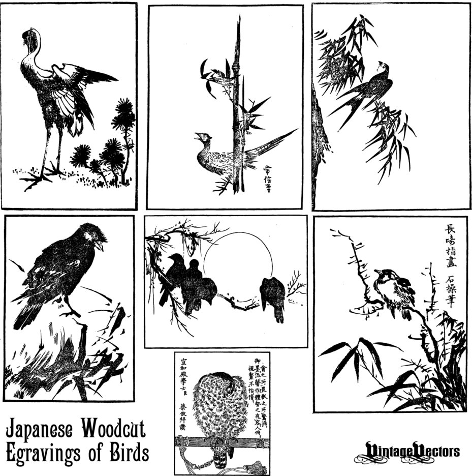 Japanese Woodcut Engravings Of Birds