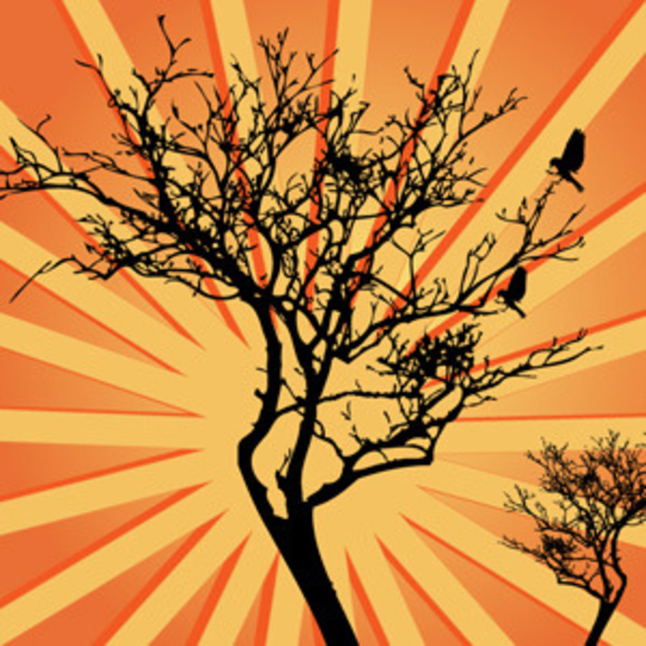 Sunburst Background Tree Vector