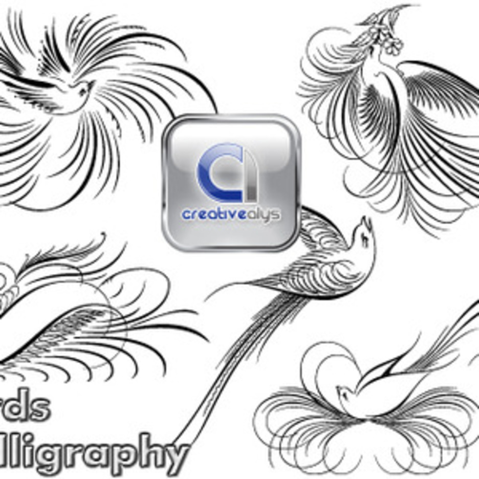 Creative Birds Calligraphy