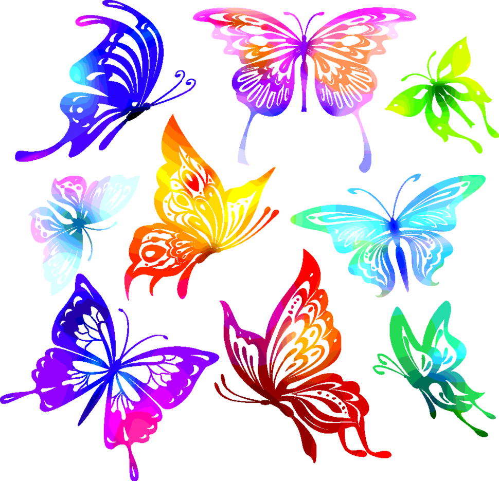 Colourful Butterflies