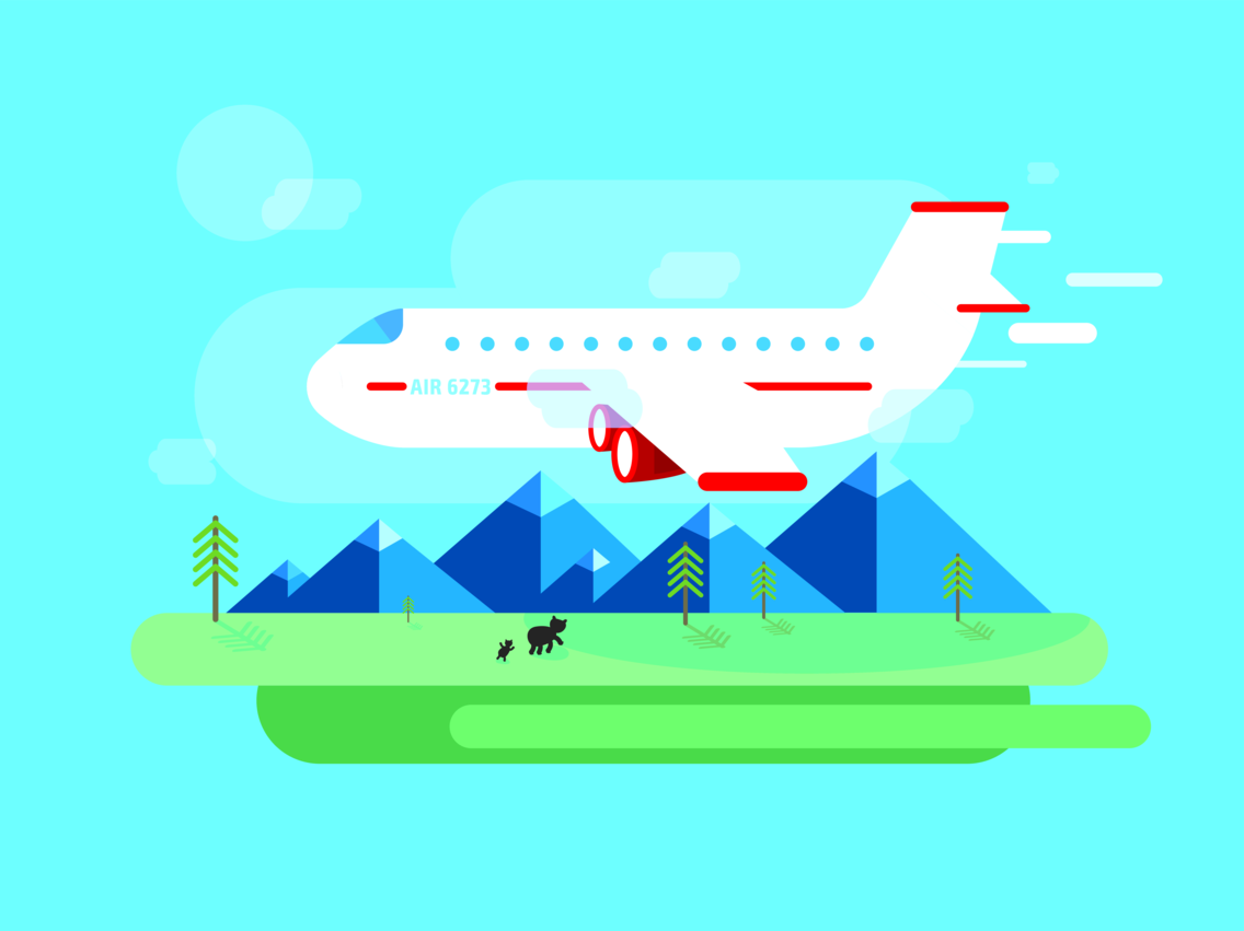 Flat Airplane Vector Landscape