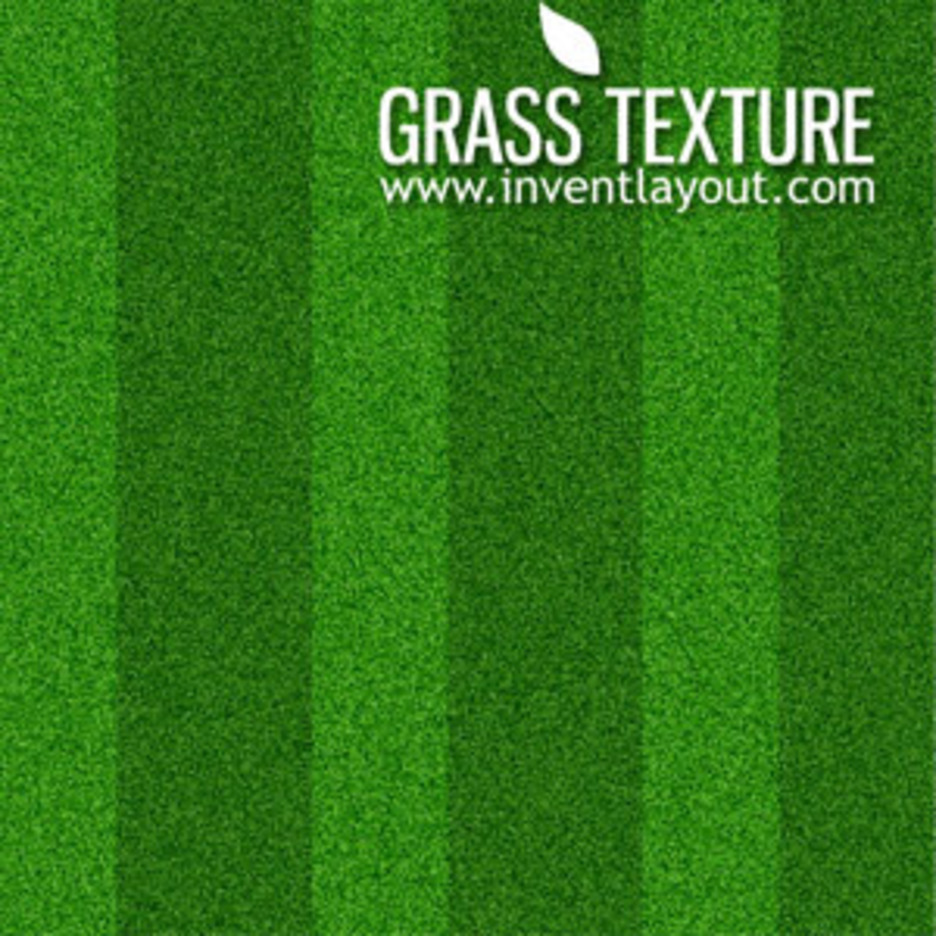 seamless green grass texture