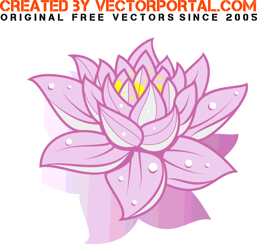 Free Vector Lotus Flower 