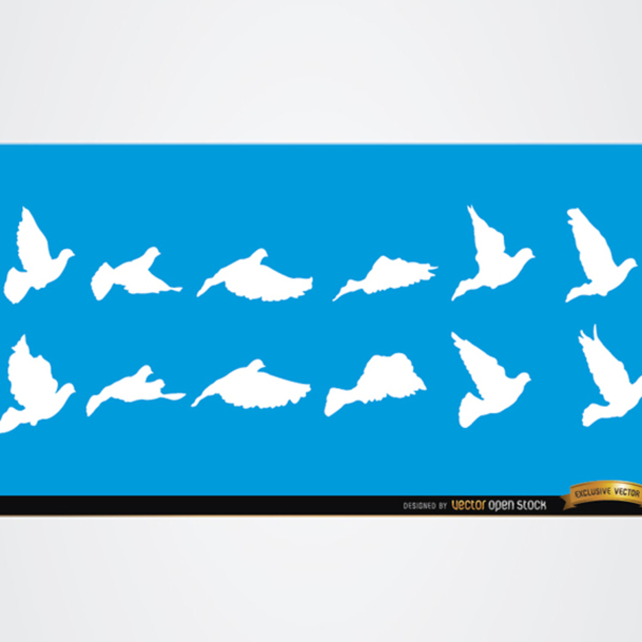 Dove and Bird Vector Silhouettes