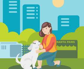 Female Volunteer with Homeless Dog in City Park