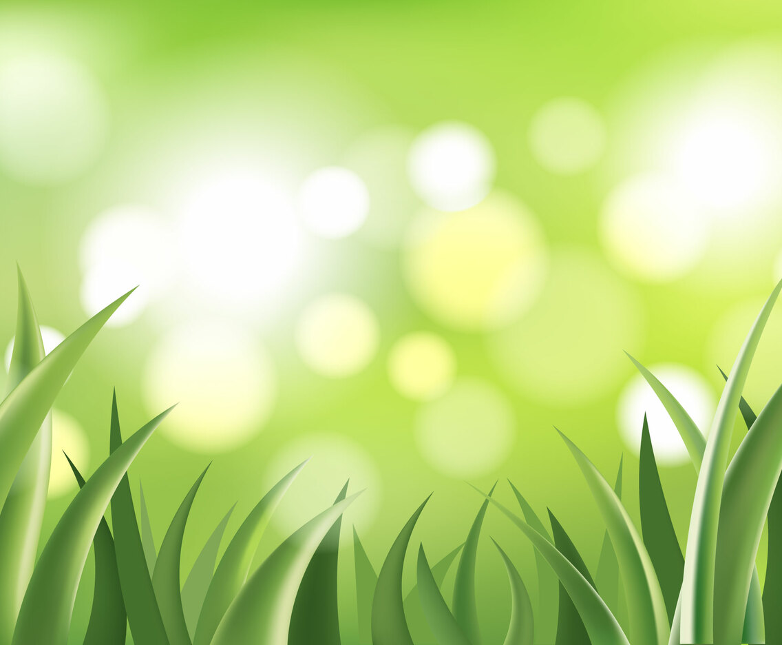Abstract Green Grass in Bokeh Background