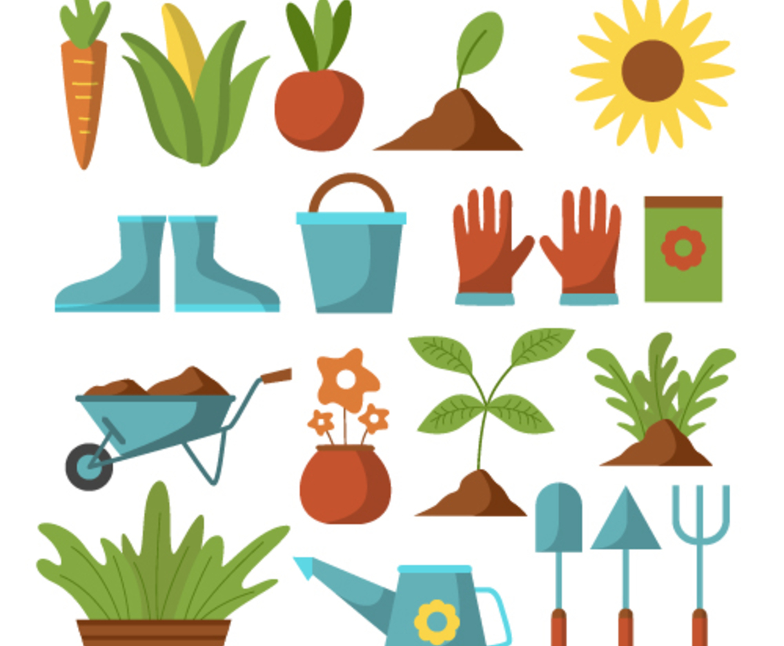 A Wide Variety of Gardening Tools and Plants