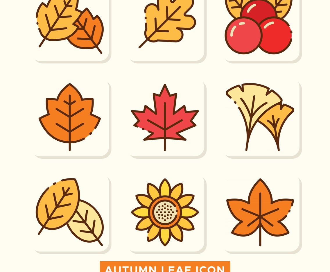 Autumn Leaf Icon Collection