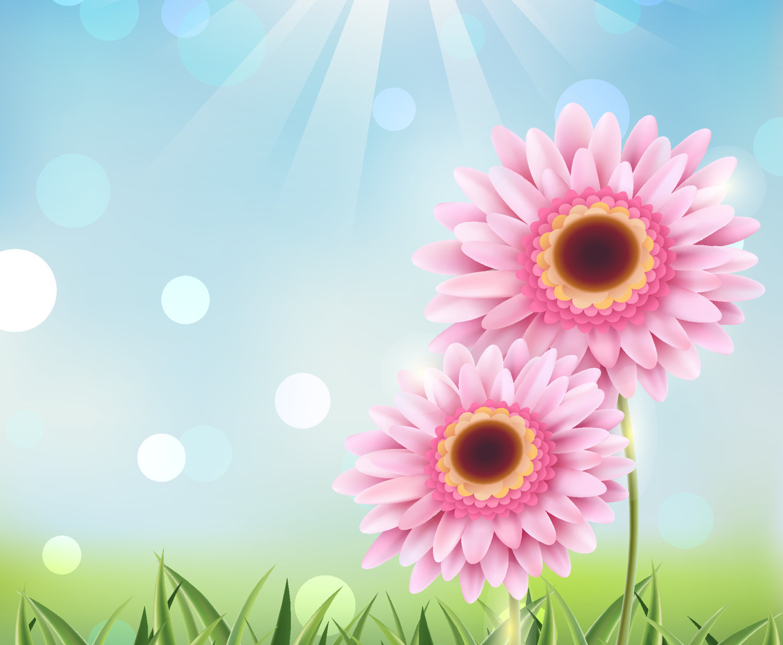 Spring Time Flower Background